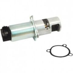 EGR VALFİ KANGO TRAFİC MASTER LAGUNA