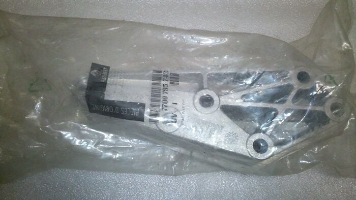 ŞANZUMAN KULAĞI CLİO