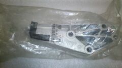 ŞANZUMAN KULAĞI CLİO