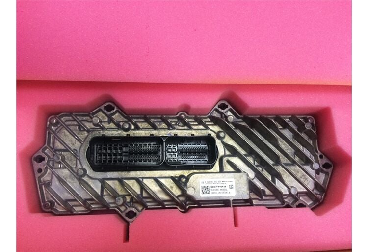 ŞANZUMAN BEYNİ TALISMAN