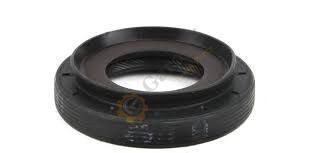 AKS KEÇESİ MEGANE II