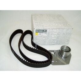 EKSANTRİK KAYIŞ KİTİ MEGANE II LAGUNA II SCENİC II 1.9 DCİ F9Q