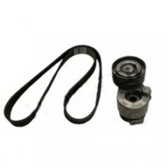 EKSANTRİK KAYIŞ KİTİ LAGUNA II F4R 2.0 16V