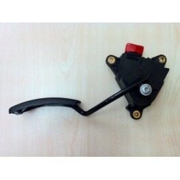 GAZ PEDALI KOMPLE SCENİC II OTOMATİK