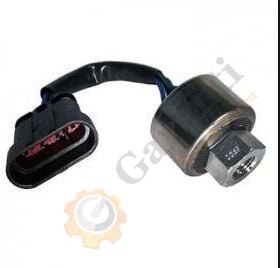 BASINÇ MÜŞÜRÜ TEMPRA TİPO DUCATO