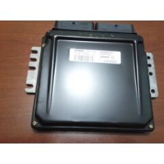 BEYİN K4M KANGO 1 SİRİUS 34